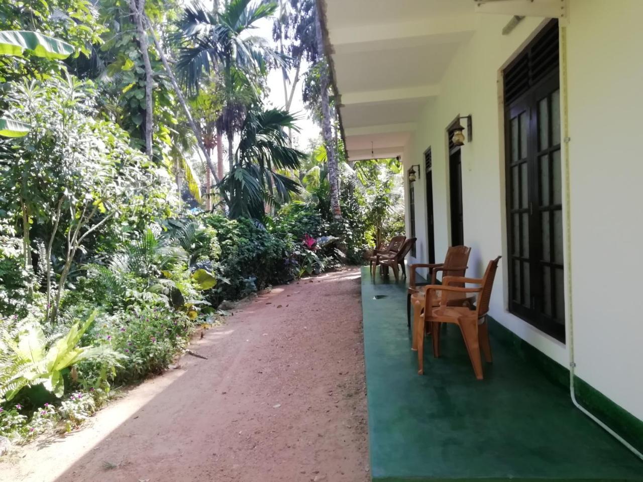 Jungle Guest ,Mirissa Hotel Exterior foto
